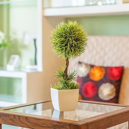 Апартаменты Ceyla 214 *