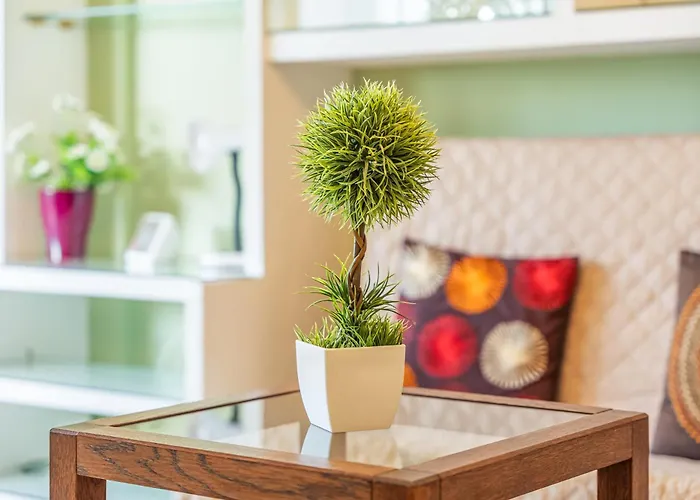 Appartement Ceyla 214 *